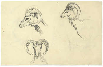 Visualizza l'immagine "FD D 1919 r."